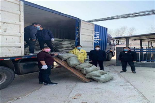 嘉禾智慧农业为我校基金会捐赠爱心萝卜2万斤